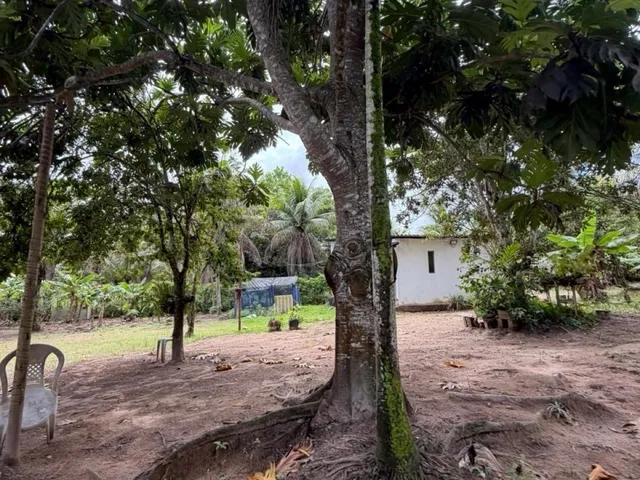 Imagem 14: House em Camaçari - Bahia, Coqueiros de Arembepe (Abrantes
