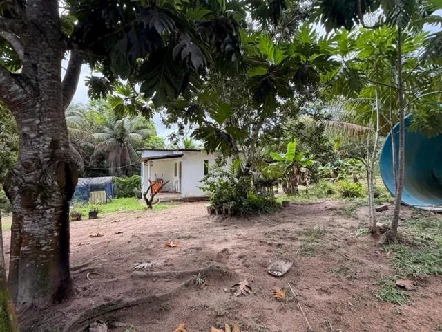 Imagem 2: House em Camaçari - Bahia, Coqueiros de Arembepe (Abrantes