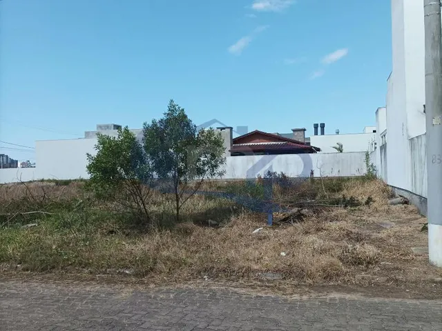 Imagem 5: Terreno 15x24m pronto para construir na Morada das Palmeiras ? Torres/RS