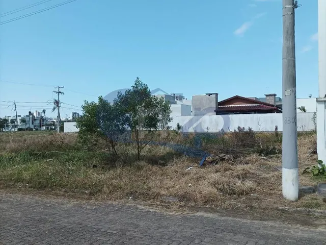 Imagem 7: Terreno 15x24m pronto para construir na Morada das Palmeiras ? Torres/RS