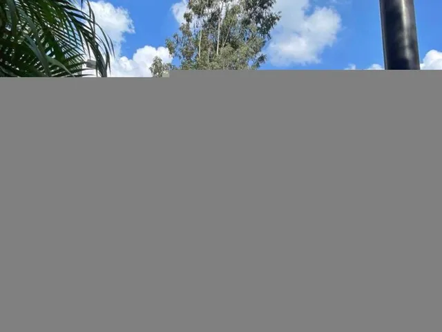 Imagem 11: 0 Apartamento com 2 dormitórios