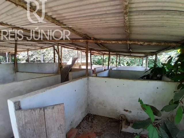 Imagem 6: Sítio Produtivo em Monte Gordo com 87.000m², 3 suítes e 10 vagas de garagem!