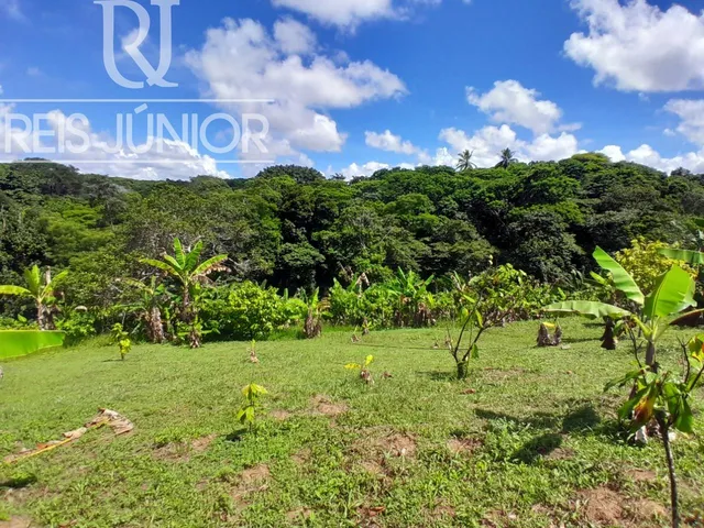 Imagem 3: Sítio Produtivo em Monte Gordo com 87.000m², 3 suítes e 10 vagas de garagem!