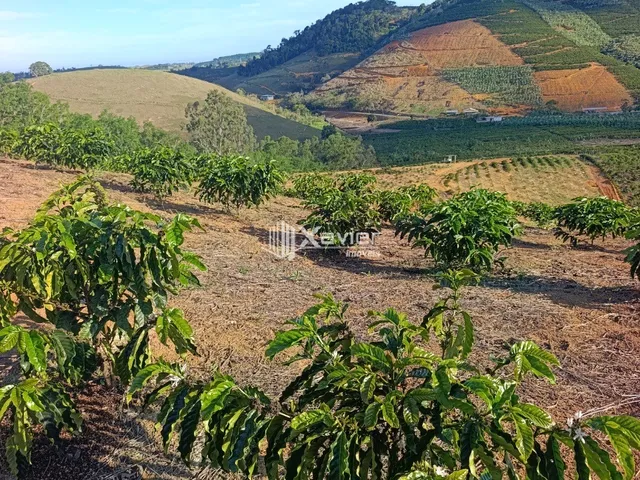 Imagem: Terreno Rural à Venda com 48.400 m² e