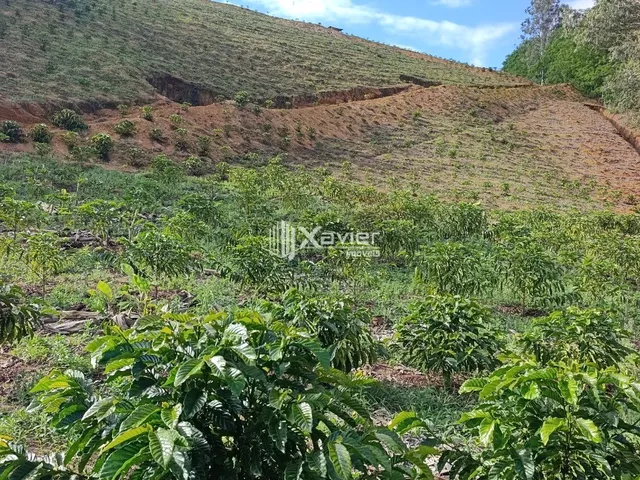Imagem 3: Terreno Rural à Venda com 48.400 m² e 9.000 Pés de Café em Produção, Anchieta/ES