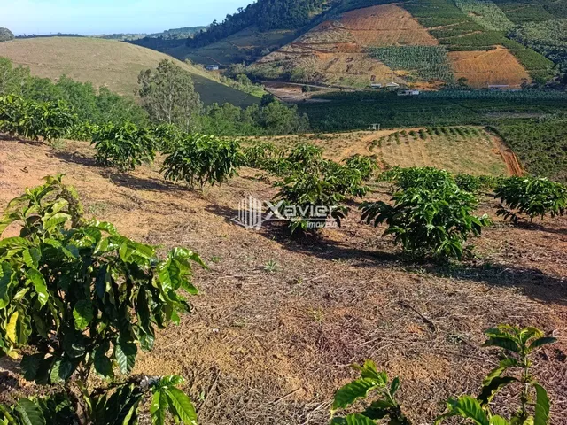 Imagem 7: Terreno Rural à Venda com 48.400 m² e 9.000 Pés de Café em Produção, Anchieta/ES
