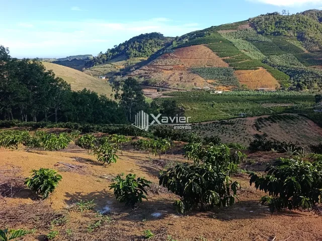 Imagem 11: Terreno Rural à Venda com 48.400 m² e 9.000 Pés de Café em Produção, Anchieta/ES