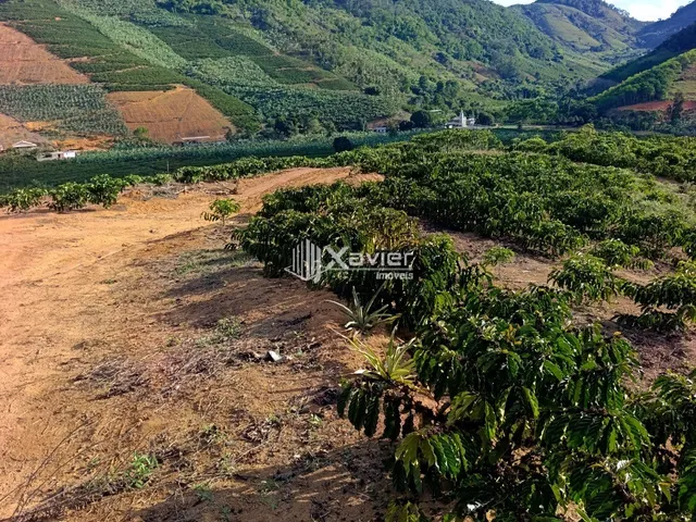 Imagem 2: Terreno Rural à Venda com 48.400 m² e 9.000 Pés de Café em Produção, Anchieta/ES