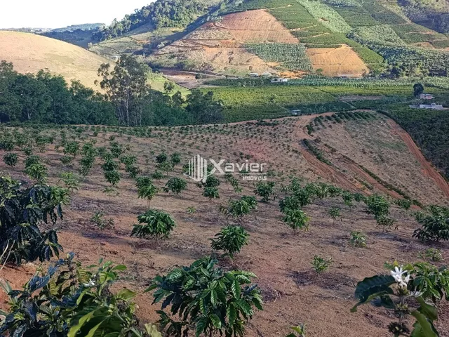 Imagem 9: Terreno Rural à Venda com 48.400 m² e 9.000 Pés de Café em Produção, Anchieta/ES
