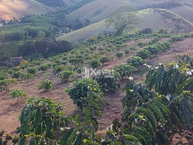 Imagem 10: Terreno Rural à Venda com 48.400 m² e 9.000 Pés de Café em Produção, Anchieta/ES
