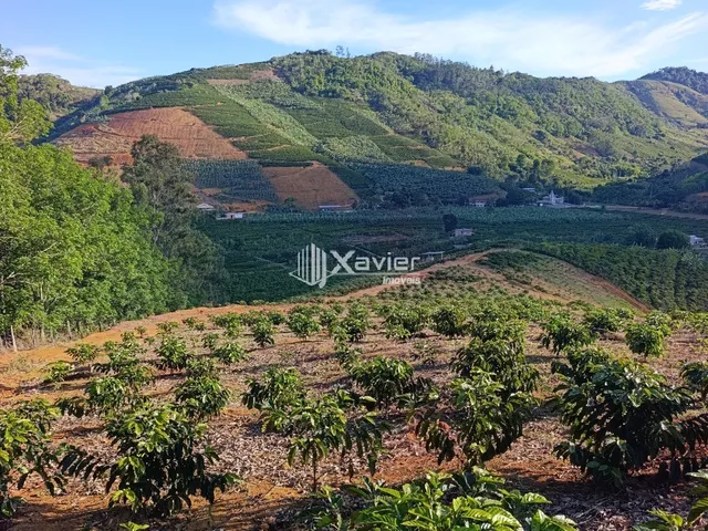 Imagem 5: Terreno Rural à Venda com 48.400 m² e 9.000 Pés de Café em Produção, Anchieta/ES