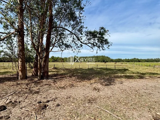 Imagem 5: Terreno à Venda com 20.000 m² em Jaboticaba, Guarapari/ES, Plano, Aproveitável e com