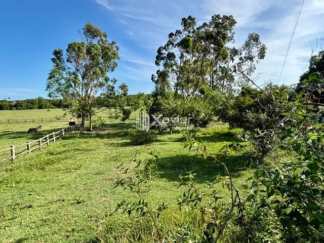 Imagem 10: Terreno à Venda com 20.000 m² em Jaboticaba, Guarapari/ES, Plano, Aproveitável e com