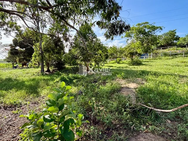 Imagem 13: Terreno à Venda com 20.000 m² em Jaboticaba, Guarapari/ES, Plano, Aproveitável e com