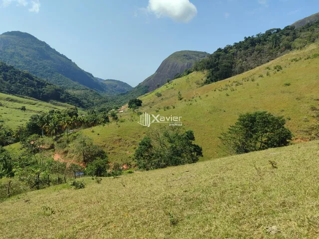 Imagem: Terreno à Venda com 25.000 m² em Cachoeirinha