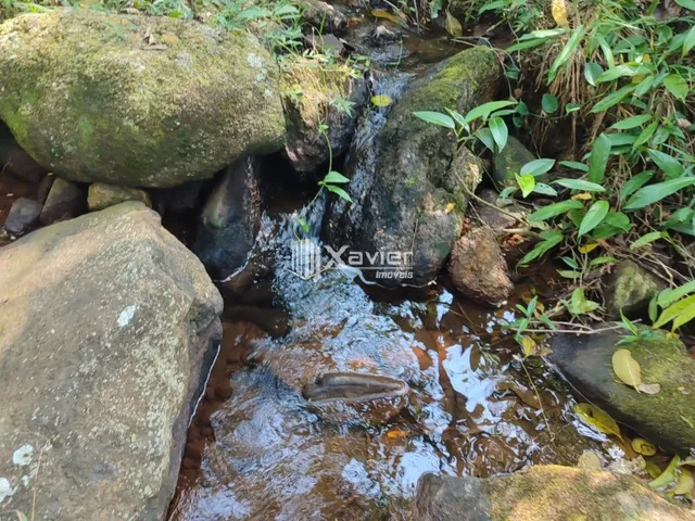 Imagem 5: Terreno à Venda com 25.000 m² em Cachoeirinha, Guarapari/ES, Excelente Topografia