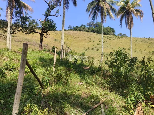 Imagem 11: Terreno à Venda com 25.000 m² em Cachoeirinha, Guarapari/ES, Excelente Topografia