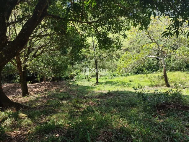 Imagem 7: Terreno à Venda com 25.000 m² em Cachoeirinha, Guarapari/ES, Excelente Topografia