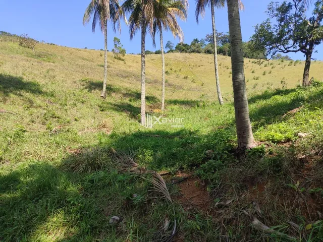 Imagem 3: Terreno à Venda com 25.000 m² em Cachoeirinha, Guarapari/ES, Excelente Topografia