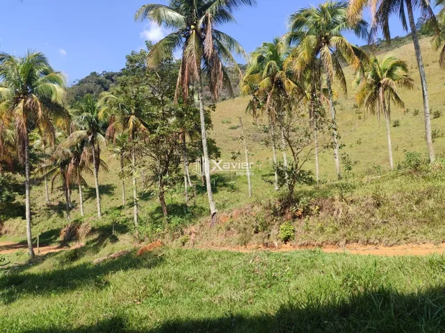 Imagem 13: Terreno à Venda com 25.000 m² em Cachoeirinha, Guarapari/ES, Excelente Topografia
