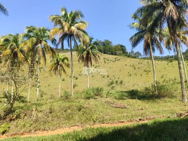 Imagem 15: Terreno à Venda com 25.000 m² em Cachoeirinha, Guarapari/ES, Excelente Topografia