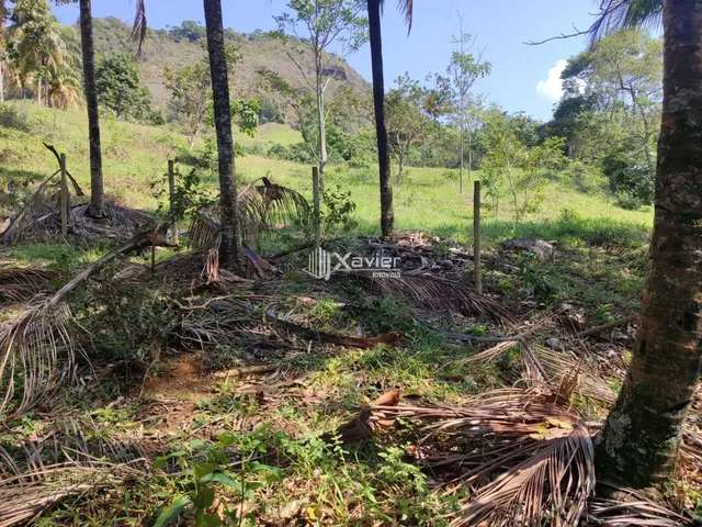 Imagem 16: Terreno à Venda com 25.000 m² em Cachoeirinha, Guarapari/ES, Excelente Topografia