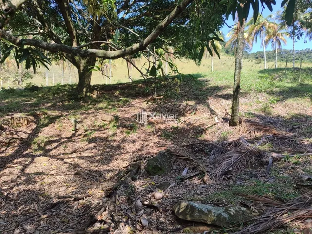 Imagem 9: Terreno à Venda com 25.000 m² em Cachoeirinha, Guarapari/ES, Excelente Topografia