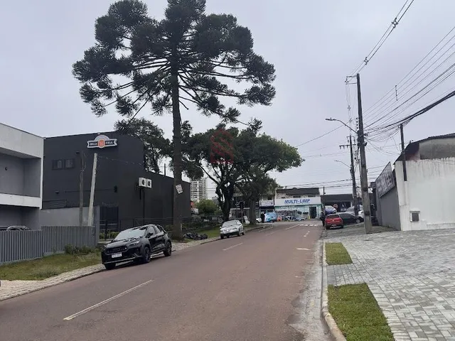 Imagem 8: Terreno à venda em Curitiba - Orleans, 760m², vista livre, localização privilegiada