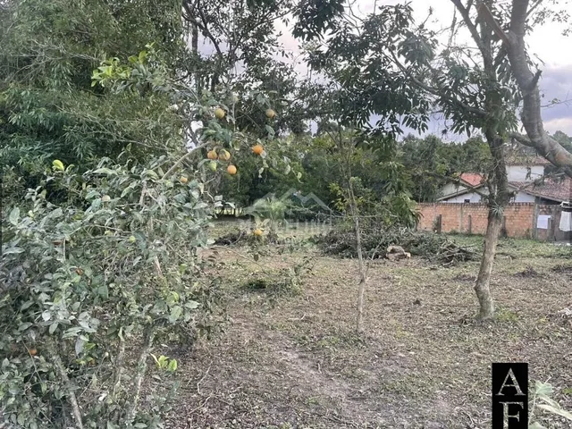 Imagem 3: Terreno na Ibiraquera