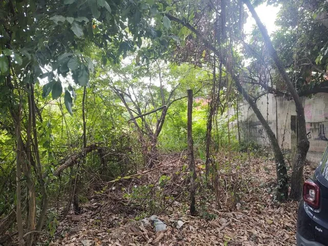 Imagem 11: VENDO ÁREA ESTRADA DO MORRO CAVADO EM GUARATIBA - RJ Excelente área de esquina plana e