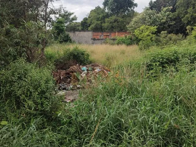 Imagem 16: VENDO ÁREA ESTRADA DO MORRO CAVADO EM GUARATIBA - RJ Excelente área de esquina plana e
