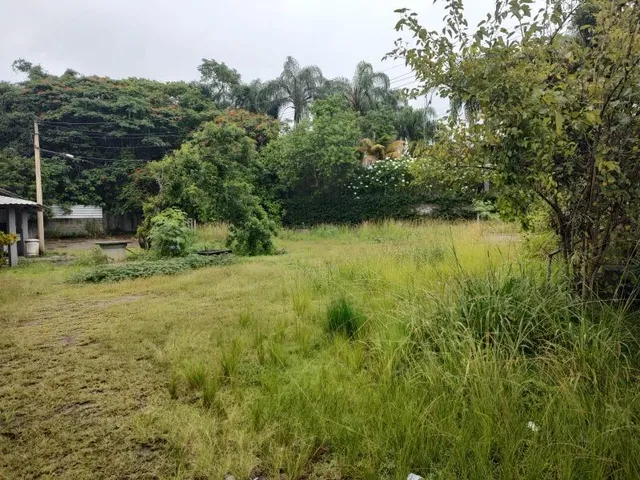 Imagem 7: VENDO/ALUGO SÍTIO EM CAMPO GRANDE - RJ Localização: Próximo à Paróquia São João