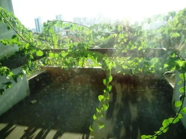 Imagem 8: Imóvel de Luxo à Venda em Salvador-BA: Casa no Caminho das Árvores com 7 Quartos e