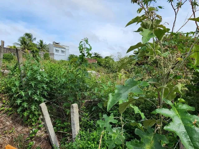 Imagem 3: Terreno À Venda em Pitangueiras, Lauro de Freitas-Ba com 6.000 M² de Área! Aproveite Essa Oportunidade!