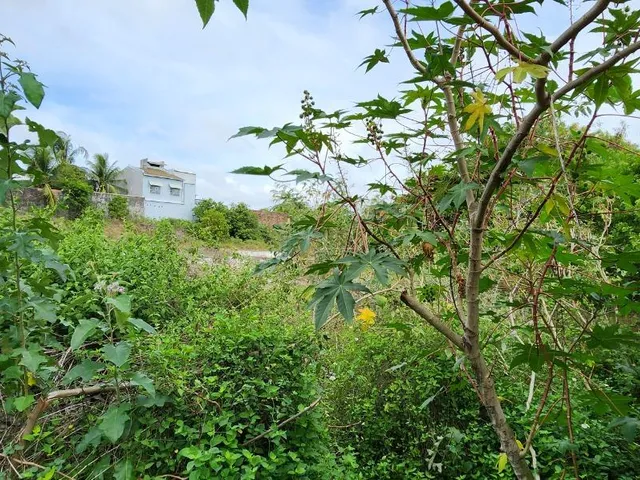 Imagem 2: Terreno À Venda em Pitangueiras, Lauro de Freitas-Ba com 6.000 M² de Área! Aproveite Essa Oportunidade!