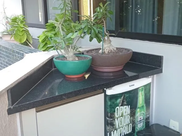 Imagem 12: Apartamento com 3 quartos, 2 suítes e 200m² na Graça, Salvador-BA! Varanda, nascente