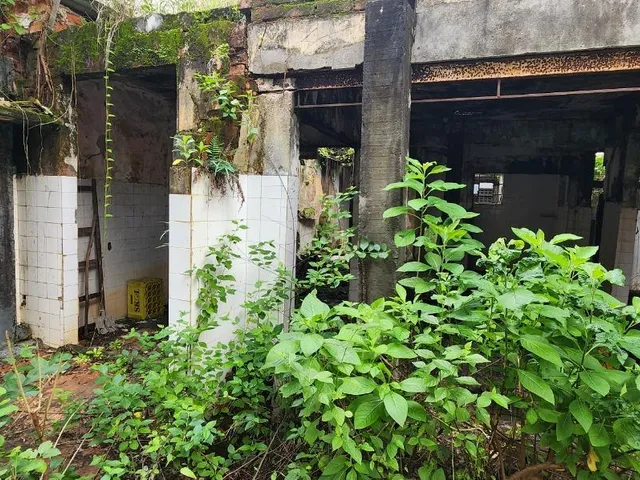 Imagem 5: Terreno à venda em Salvador-BA, bairro Boa Vista de Brotas, 550,00 m² de área!