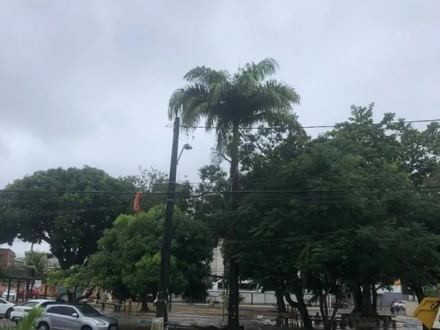 Imagem 14: Apartamento à venda no Jardim Aeroporto, Lauro de Freitas-BA: 1 quarto, 1 sala, 1