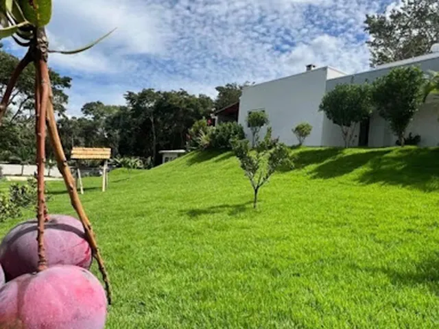 Imagem 4: Chácara com 4 dormitórios à venda, 2120 m² por R$ 850.000,00 - Área Rural de Patos