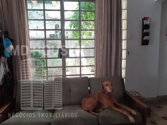 Imagem 2: Casa Residencial Ou Comercial em São Paulo - São Paulo, Vila Mariana