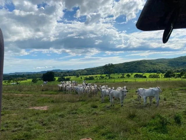 Imagem: Fazenda Venda, 214 alqueires, Iporá Goiás
