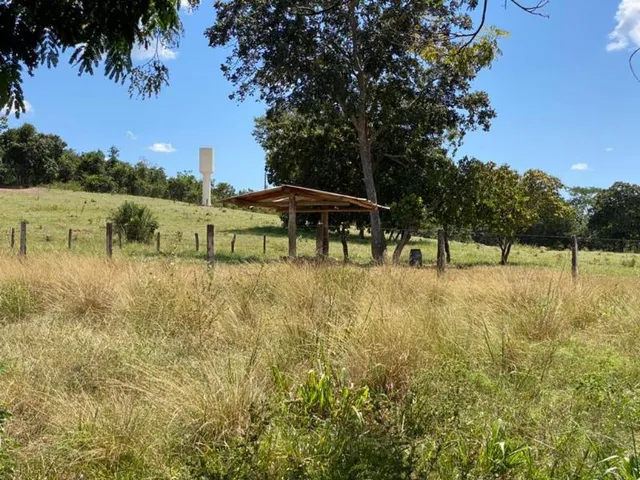 Imagem 16: Fazenda Venda, 214 alqueires, Iporá Goiás, Israelândia Goiás, G0-060, Goiás, Goiânia