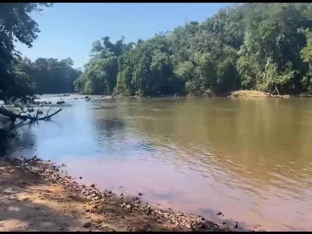 Imagem 11: Fazenda Venda, 214 alqueires, Iporá Goiás, Israelândia Goiás, G0-060, Goiás, Goiânia