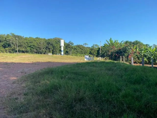 Imagem 7: Fazenda Venda, 214 alqueires, Iporá Goiás, Israelândia Goiás, G0-060, Goiás, Goiânia