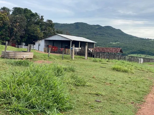 Imagem 15: Fazenda Venda, 214 alqueires, Iporá Goiás, Israelândia Goiás, G0-060, Goiás, Goiânia