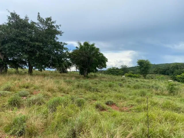 Imagem 14: Fazenda Venda, 214 alqueires, Iporá Goiás, Israelândia Goiás, G0-060, Goiás, Goiânia