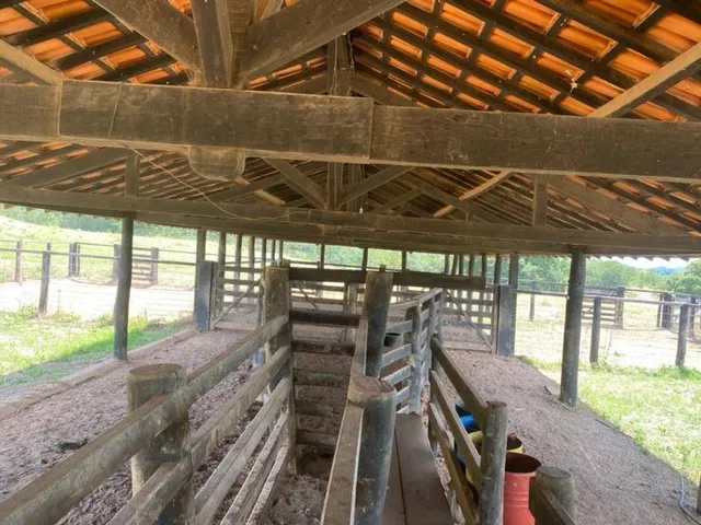 Imagem 6: Fazenda Venda, 214 alqueires, Iporá Goiás, Israelândia Goiás, G0-060, Goiás, Goiânia