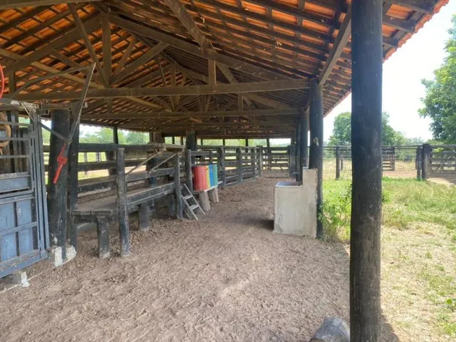 Imagem 8: Fazenda Venda, 214 alqueires, Iporá Goiás, Israelândia Goiás, G0-060, Goiás, Goiânia