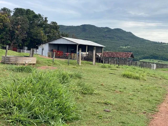 Imagem 9: Fazenda Venda, 214 alqueires, Iporá Goiás, Israelândia Goiás, G0-060, Goiás, Goiânia