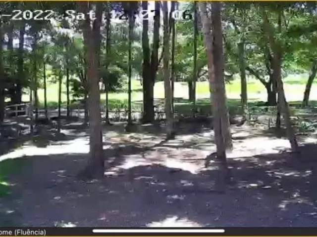 Imagem 12: Fazenda Venda, 214 alqueires, Iporá Goiás, Israelândia Goiás, G0-060, Goiás, Goiânia